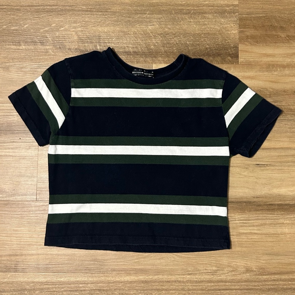 Brandy Melville Helen Blue and Green Stripe Crop Top